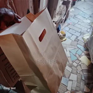 Paper Bag With Two Side Handle