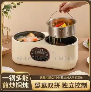 Double Compartment Electric Pot