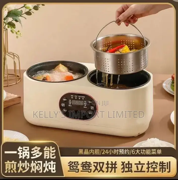 Double Compartment Electric Pot