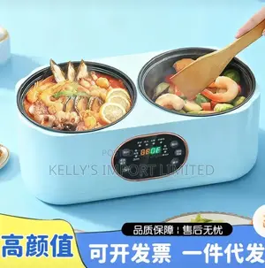 Double Compartment Electric Pot