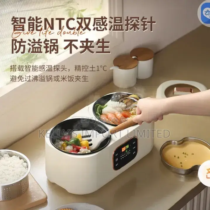 Double Compartment Electric Pot