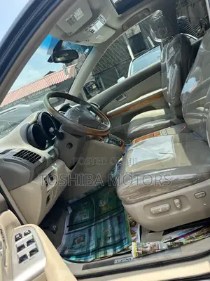 Lexus RX 330 2005 Black