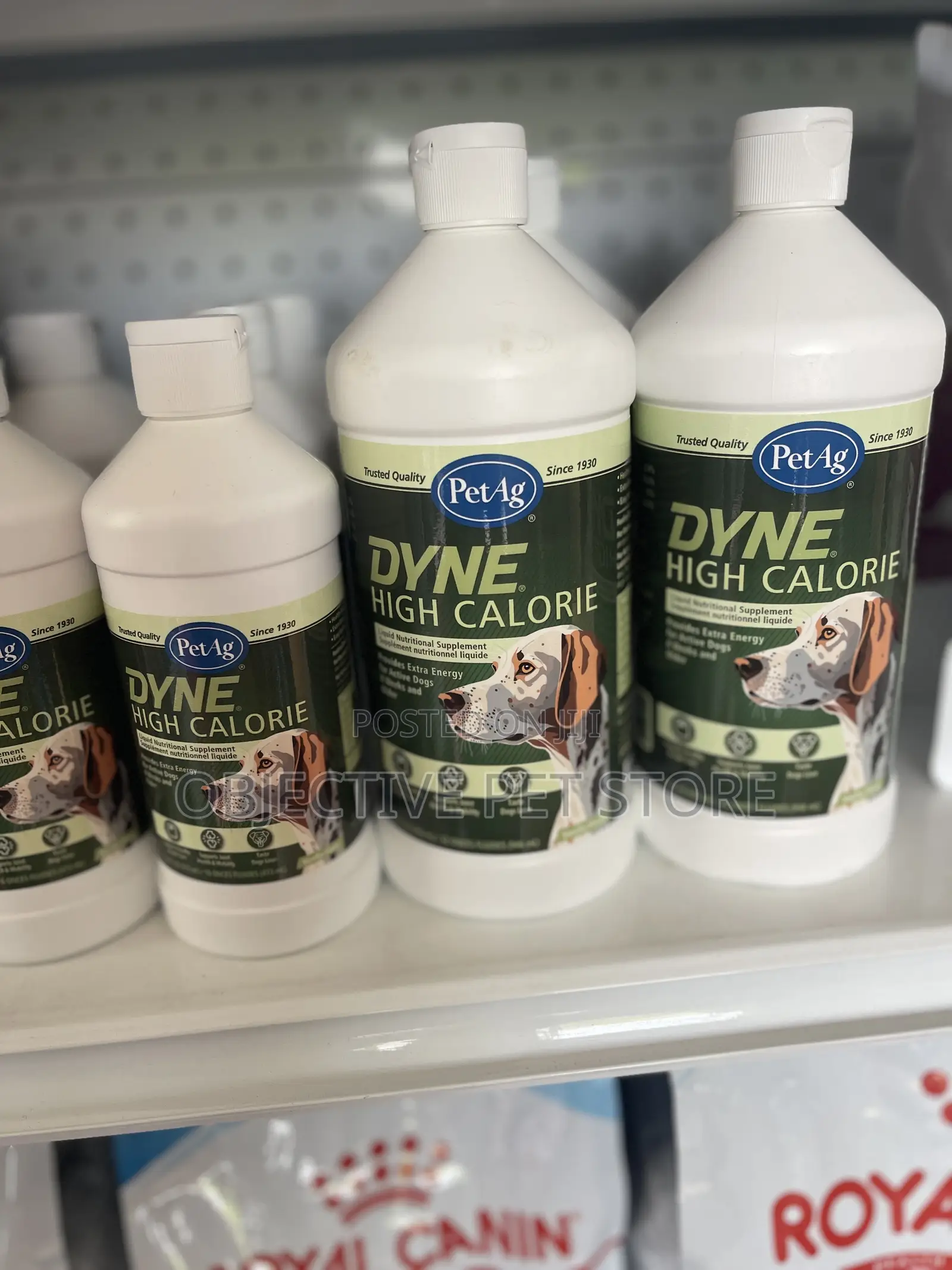 Dyne High Calorie Supplement