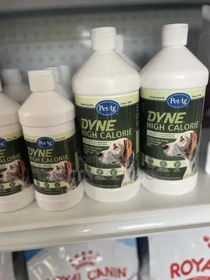 Dyne High Calorie Supplement