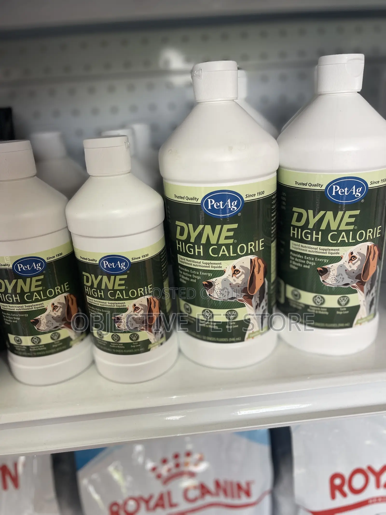 Dyne High Calorie Supplement