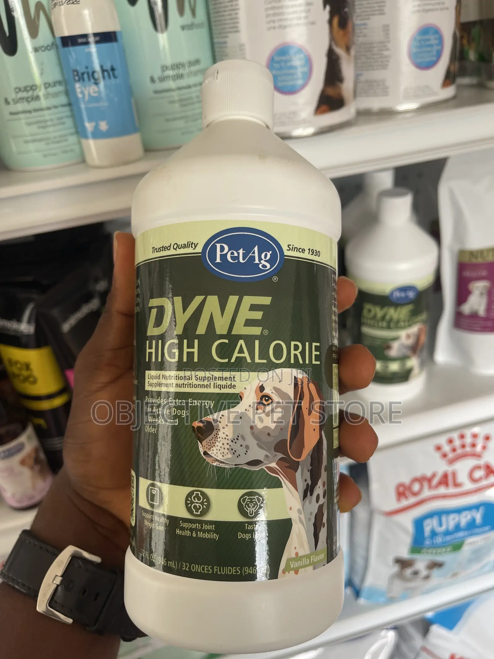 Dyne High Calorie Supplement