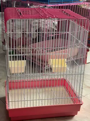 Strong Bird Cage