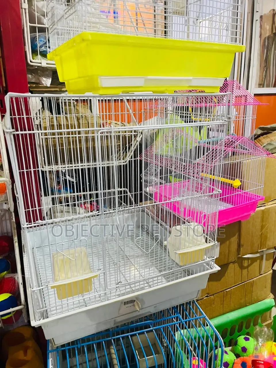Strong Bird Cage