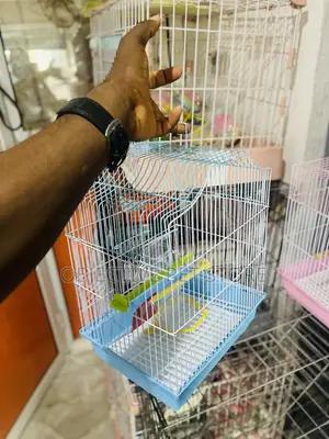Strong Bird Cage