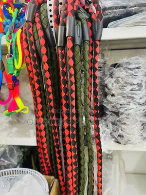 Dog Braindled Leash