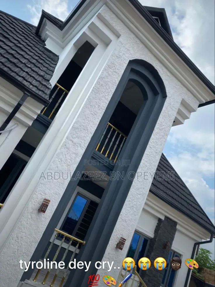 Professional House Painter