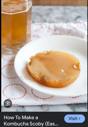 Kombucha Kargasok Tea