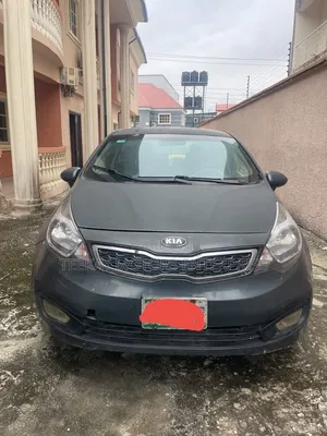 Kia Rio 2013 Gray