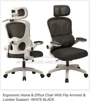 Ergonomic Chair