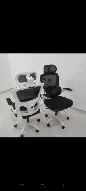 Ergonomic Chair