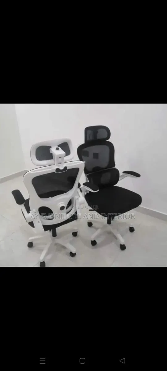 Ergonomic Chair