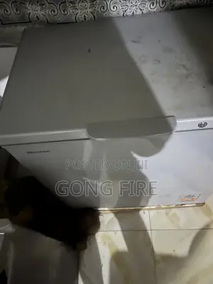 Hisence Deep Freezer