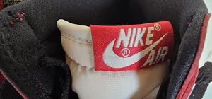 Air Jordan 1 Retro High OG Lost Found