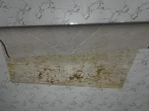 Gold Center Rug