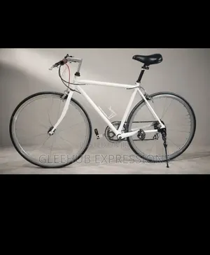 Adult Bicycles