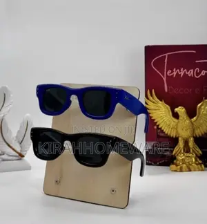 Rayban Sunglasses