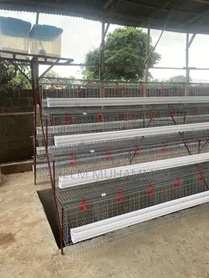 Local Batery Cage 160 Capacity