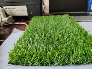 Carpet Grass