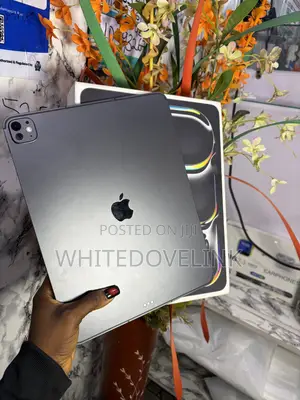 Apple iPad (2025) 256 GB Black