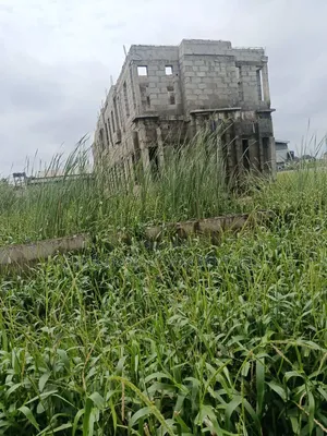 Half Plot of Land With 36 Pilling Points Done