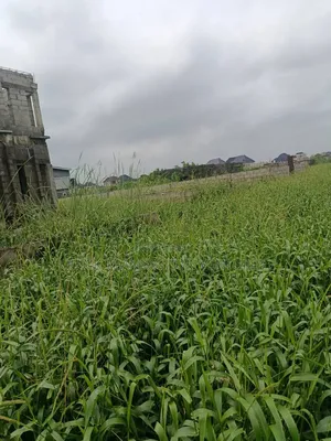 Half Plot of Land With 36 Pilling Points Done