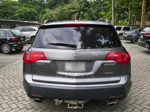 Acura MDX 2010 Gray