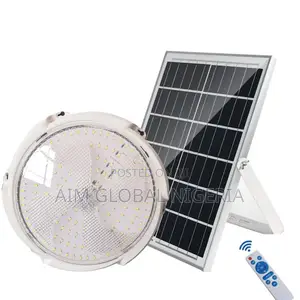 Brown Solar Ceiling Light