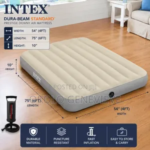 Inflatable Air Mattress for 2 People With Pump 54 X 75 X 10