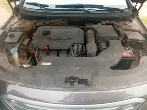 Hyundai Sonata 2015 Brown