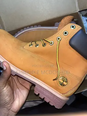 Men’s Timberland Premium Waterproof Boot