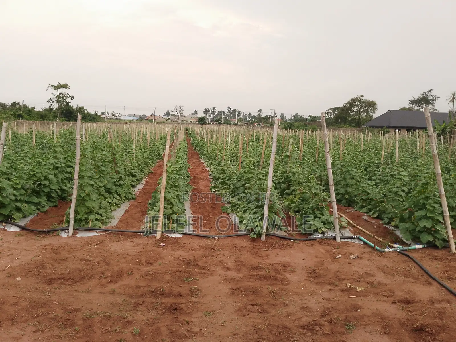 Farm Establishment and Management