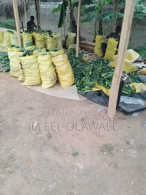 Farm Establishment and Management