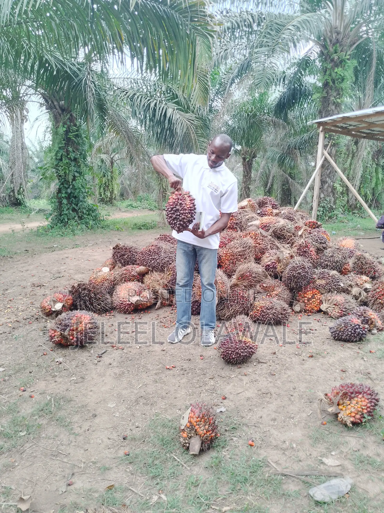 Farm Establishment and Management