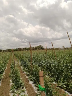 Farm Establishment and Management