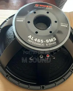 Omax Naked Speaker 18 Inch’s