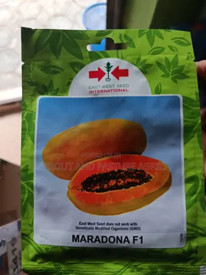 Maradona Pawpaw Seed