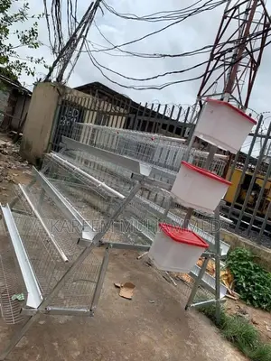 Batery Cage Imported