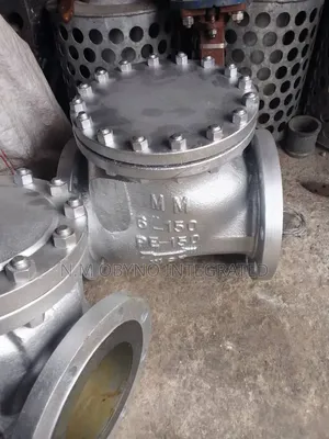 6 " Class Check Valve
