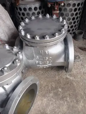 6 " Class Check Valve