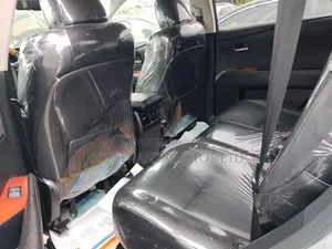 Lexus RX 2010 Silver