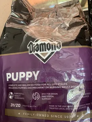 Diamond Puppy