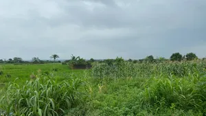 Land Sales