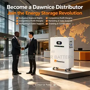 Solar Storage 20kWh 51.2V 410Ah Wall-Mounted Rechargeable Battery