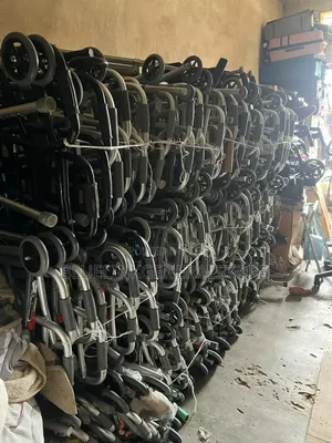 Disabled Adult Walker