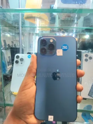 Apple iPhone 12 Pro Max 256 GB Blue